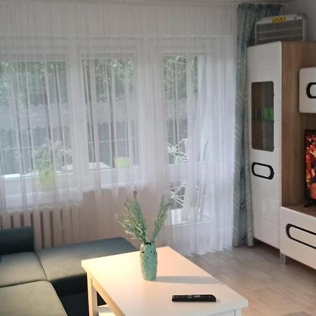 Magdalenka Apartment Legnica Ngoại thất bức ảnh